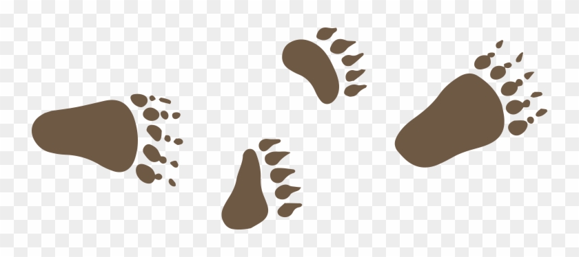 Deer Tracks Png Clipart Freeuse Stock - Transparent Deer Tracks #1425729
