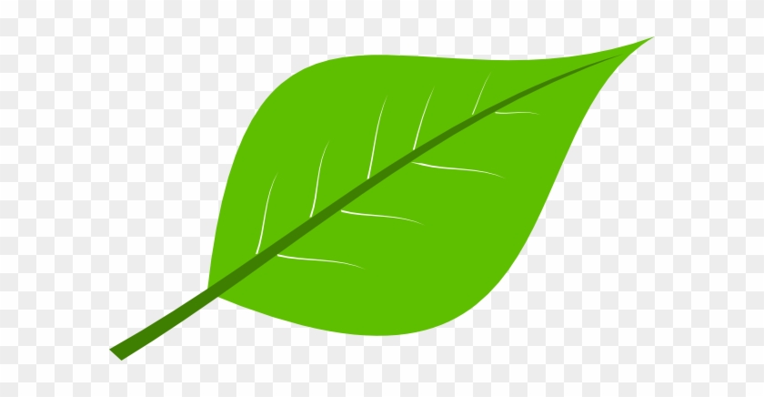 Fresh Leaves - Fresh Leaves #1425801