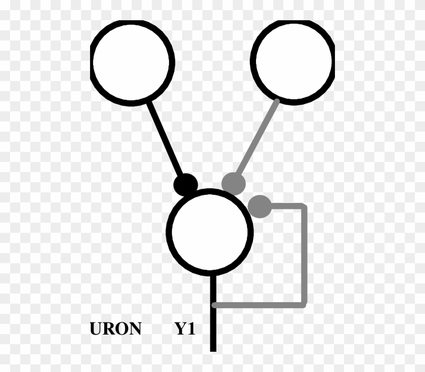 One Bit Memory With One Formal Neuron 12d - One Bit Memory With One Formal Neuron 12d #1425920