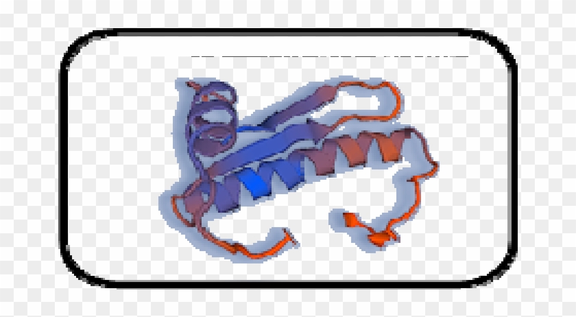 The Alignment Sequence Of Amino Acids Forming Part - Amino Acid #1426002