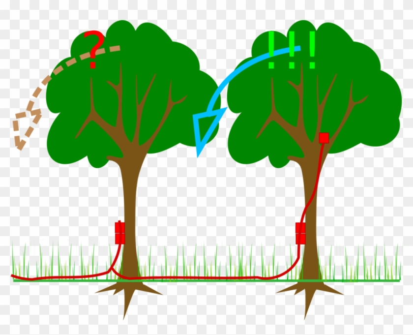 Exploding Tree Png Explosive Material Branch Tree Computer Icons - Explosive - Full Size ...