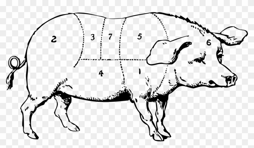 Domestic Pig Pork Chop Ham Pig Roast - Old Major Animal Farm Drawing #1426647