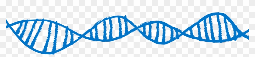 Fast - Dna Page Divider #1426772