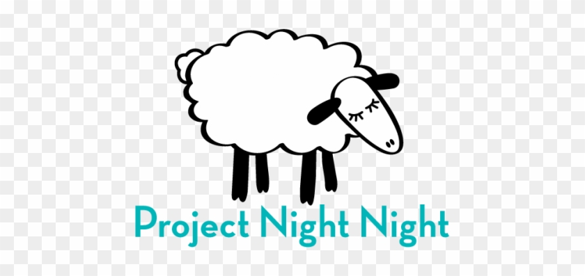 Transforming The Nighttime Experience For Homeless - Project Night Night Logo #1426954