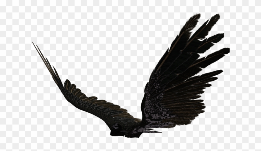 Dark Angel Clipart Pegasus Wing - Transparent Black Angel Wings #1427515