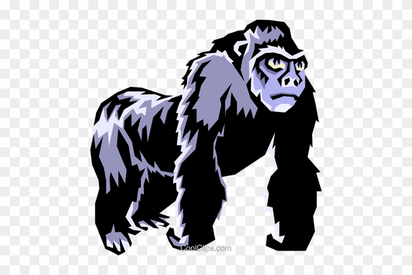 Gorillas Royalty Free Vector Clip Art Illustration - Hunter Valley Junior Rugby League #1427758