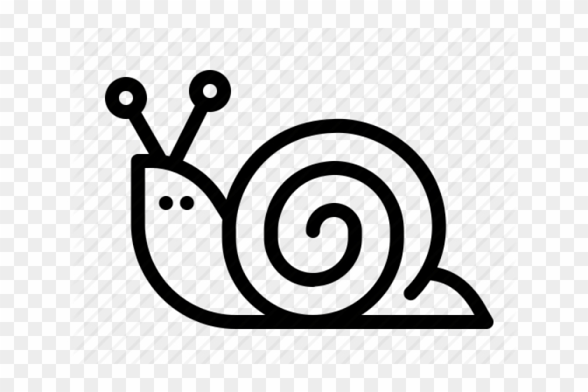 Mollusc Clipart Bunny - Mollusc Shell #1427997