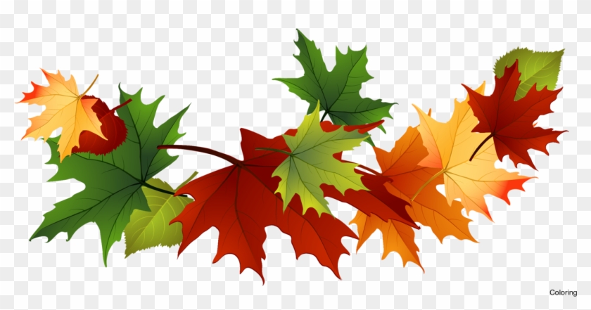 Free Leaf Cliparts - Transparent Background Fall Leaves Clip Art #1428152