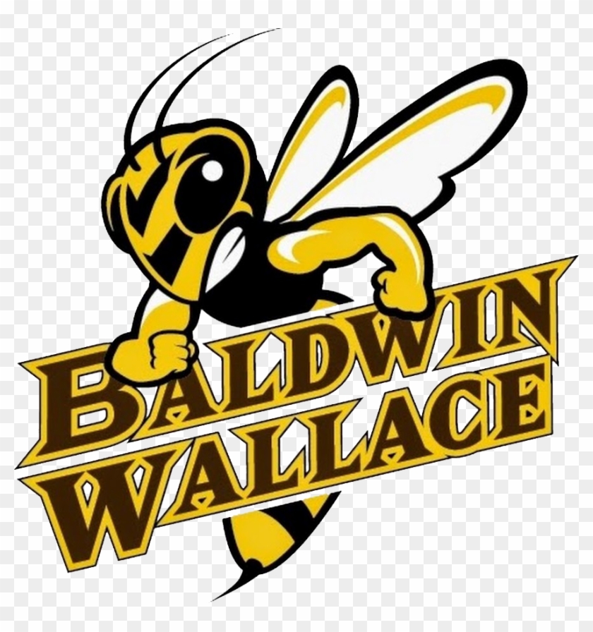 Five Student-athletes Select Bw To Continue Women's - Baldwin Wallace Yellow Jackets #1428304