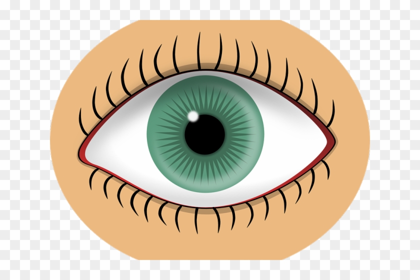 Eyeball Clipart Sight Senses - Sense Of Sight Clipart #1428313