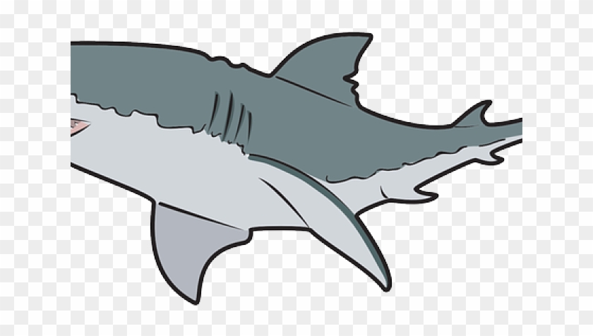 Tiger Shark Clipart Shark Cage - Great White Sharks Clip #1428577