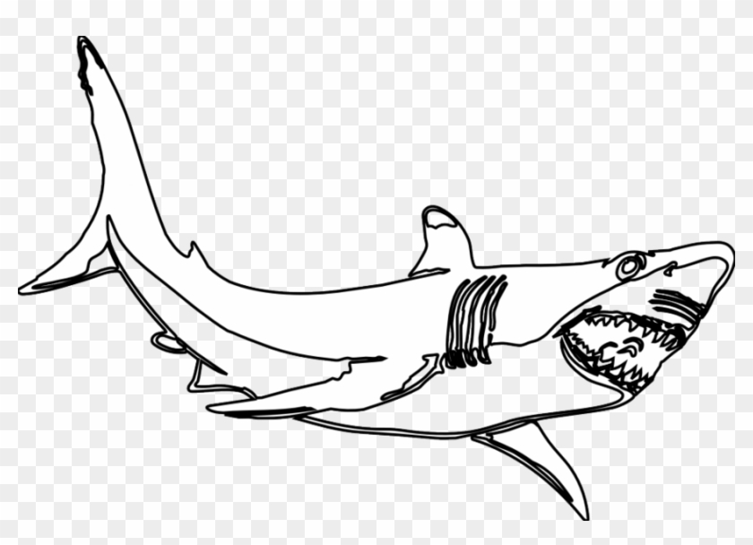 Black And White Shark Clip Art Clipart Great White - Great White Shark Black And White #1428586