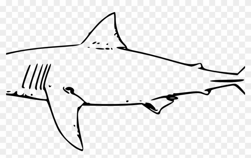 Bull Shark Clipart Line Drawing Pencil And In Color - Great White Shark Clip Art #1428587