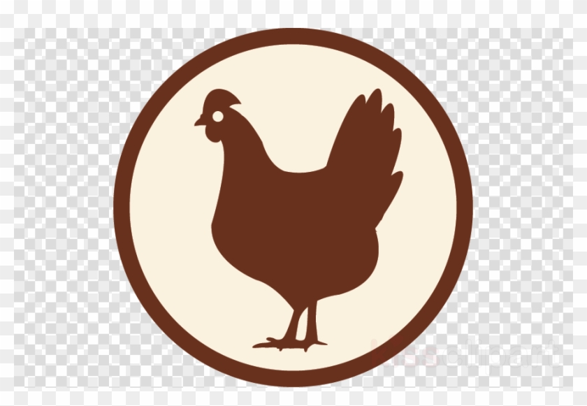 Free Icon Chicken Clipart Rooster Chicken Gulai - Hoffman Lake Mesh Cap #1428666