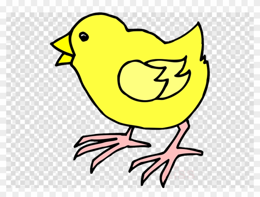 Chick Coloring Pages Clipart Chicken Drawing Clip Art - Pinto Png #1428669