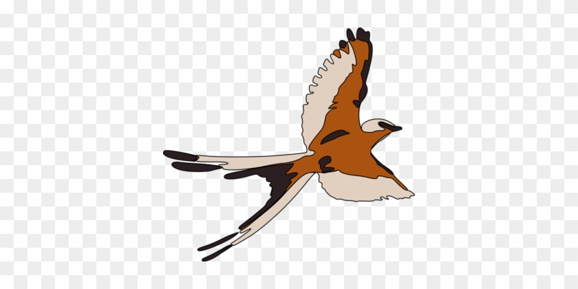 Computer Icons Bird Download Document - Vector Birds Flying Gif #1429037