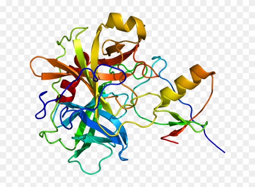 Modelisation Proteine #1429055