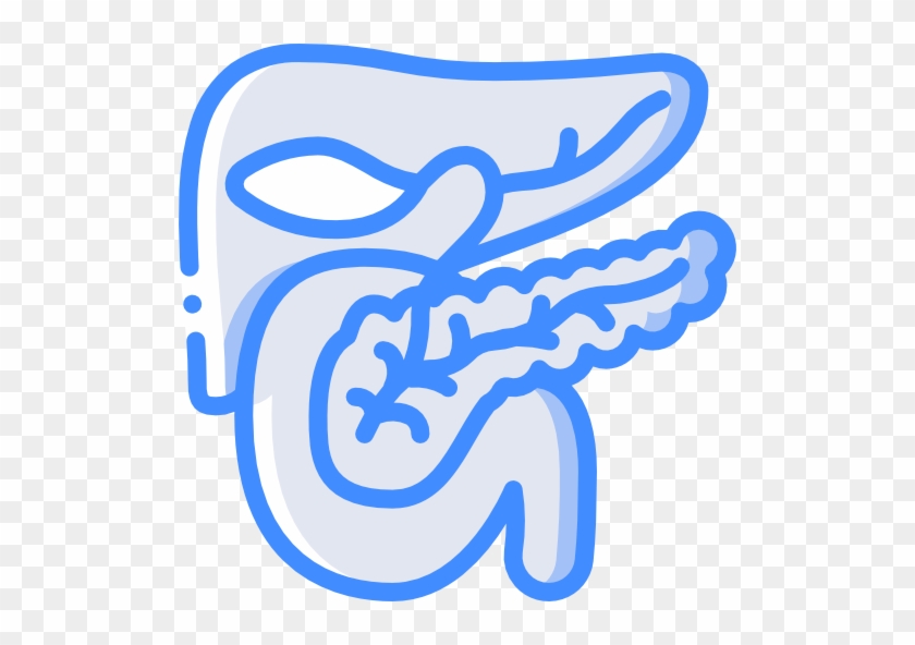 Pancreas Free Icon - Pancreas #1429062
