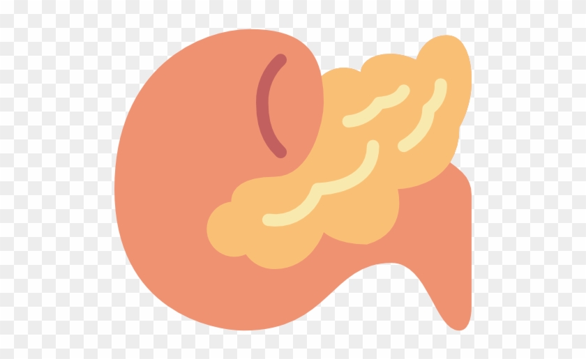 Pancreas Free Icon - Pancreas #1429088
