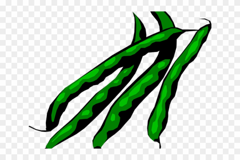 Microsoft Clipart String Bean - Green Beans Clip Art #1429117