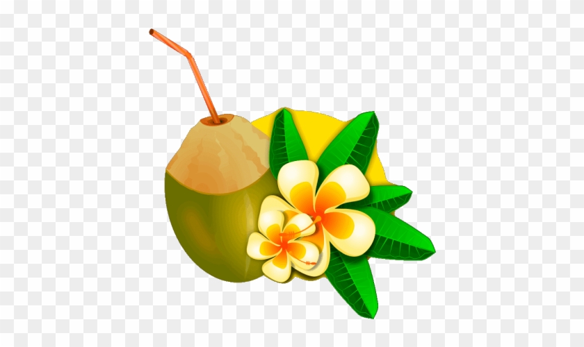 Coconut Clipart Single Fruit - Impatiens #1429441