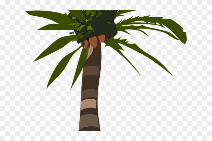 Coconut Clipart Pohon Kelapa - Palm Tree Clip Art #1429452