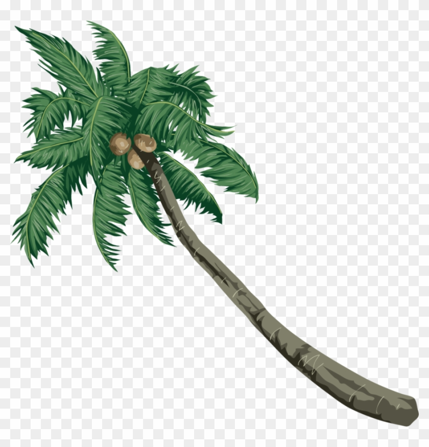 Coconut Clipart Coconut Palm Trees - Coconut #1429467