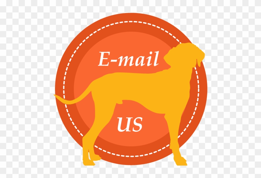 There Is An Intranasal Vaccine Which Is More Effective - There Is An Intranasal Vaccine Which Is More Effective #1429795