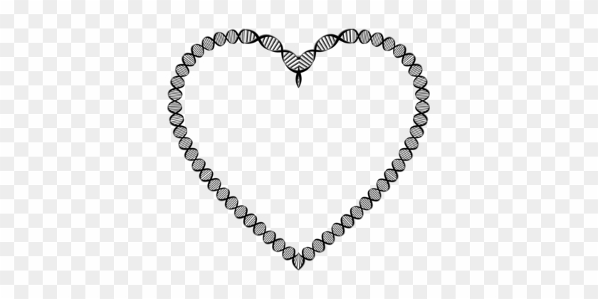 A-dna Nucleic Acid Double Helix Genetics Heart - Biologia La Ciencia Del Amor #1429939
