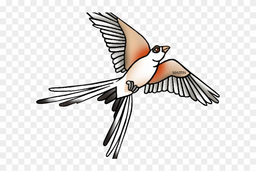 Kingfisher Clipart Clip Art - Scissor Tailed Flycatcher Clipart #1429941