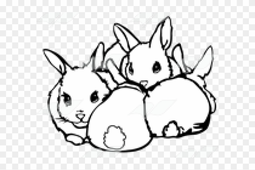 Rabbit Clipart Four - Sketch #1429942