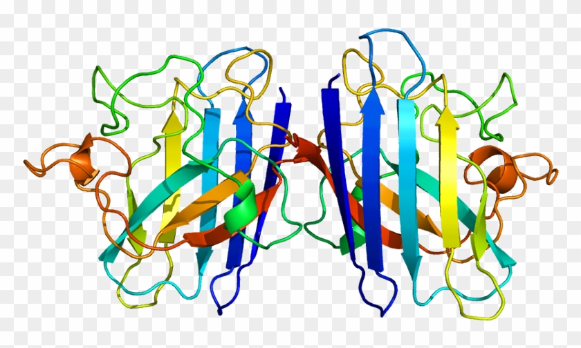 Database Clipart Sporadic - Protein Composed Of More Than One Polypeptide Chain #1430734