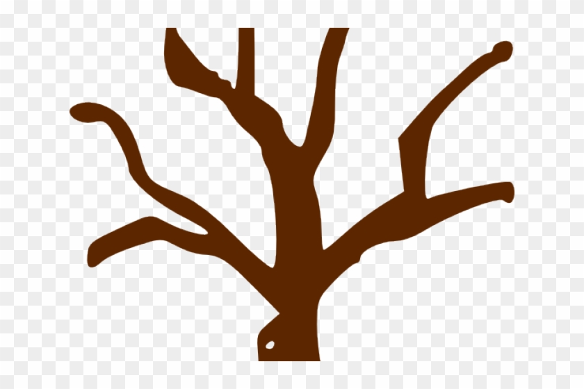 Trunk Clipart Branch Clipart - Tree Graphic Organizer Template #1430880