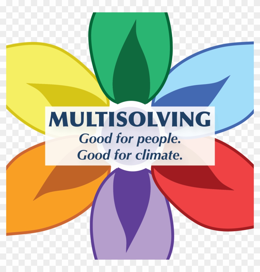 Programs Climate Interactive Multisolving - Flower #1431081