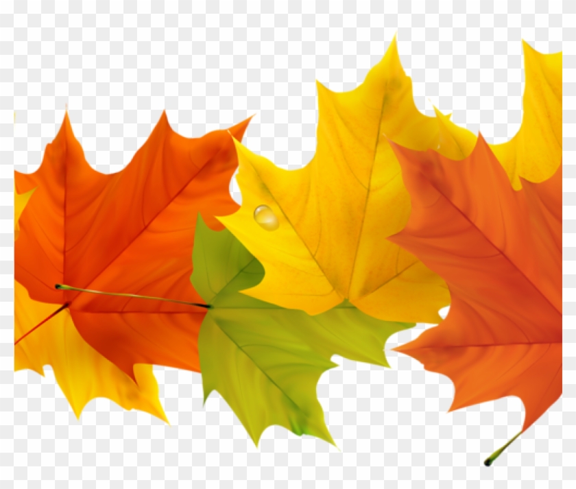 Free Fall Leaf Clip Art 19 Free Graphic Free Fall Leaves - Fall Leaves Border Transparent #1431158