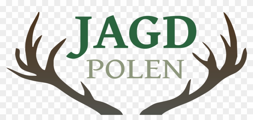 Jagd Polen - Hunting #1431710