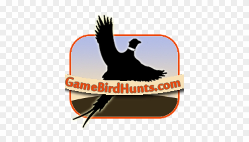 Game Bird Hunts - Seabird #1431728