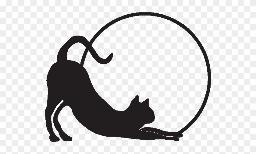 Кошка спортсменка картинки