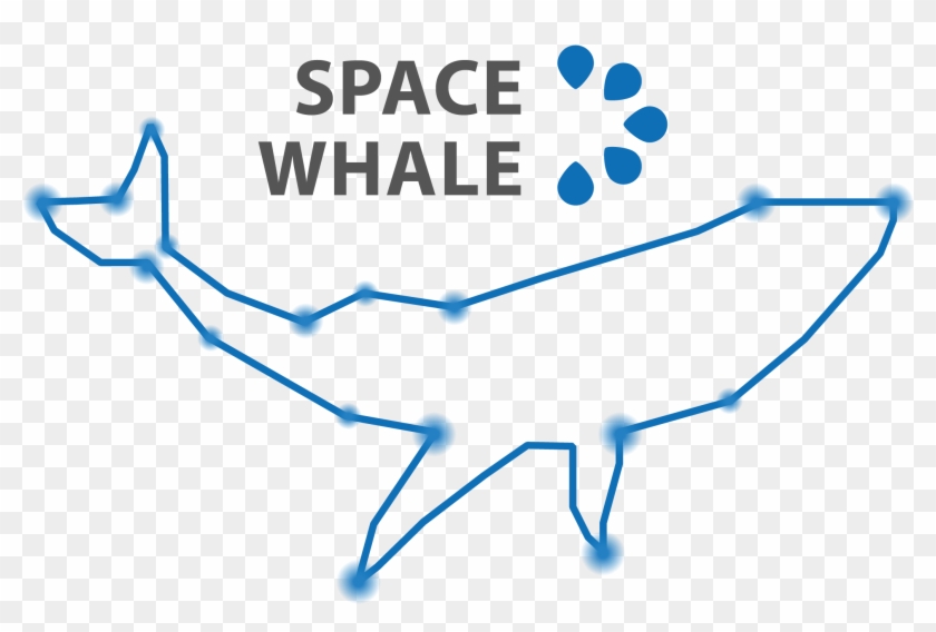 Spacewhale - Shelf #1432176