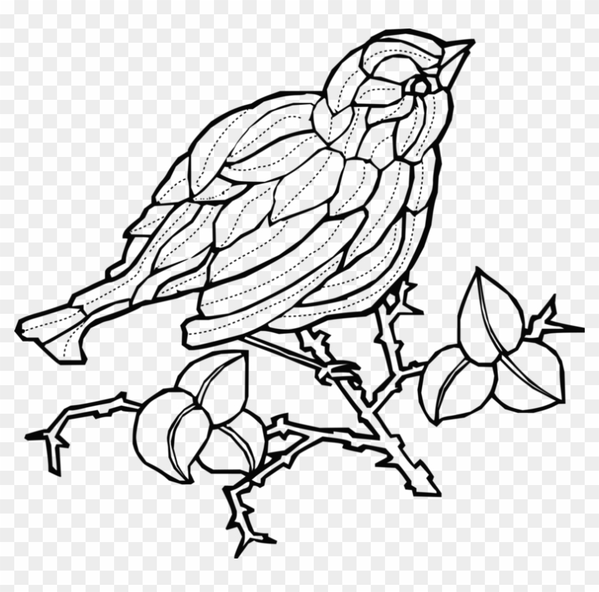 Beak Fauna Line Art Wildlife Branching - Clip Art #1432798