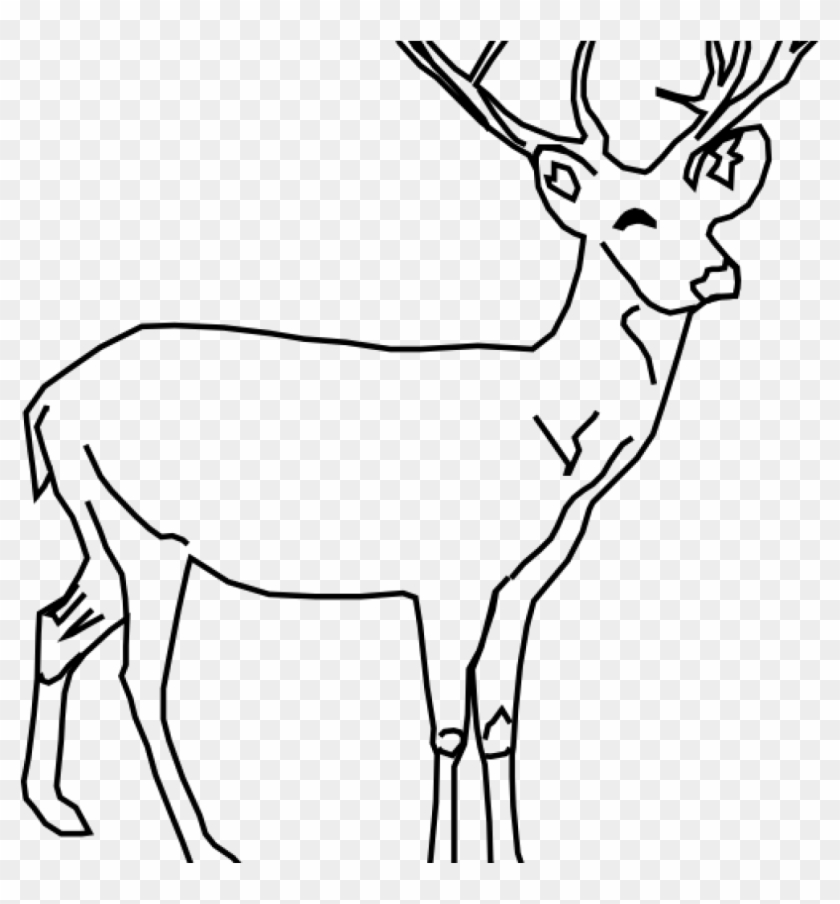 White Tailed Deer Clip Art Whitetail Deer Clip Art - Deer Drawing Black And White #1432801