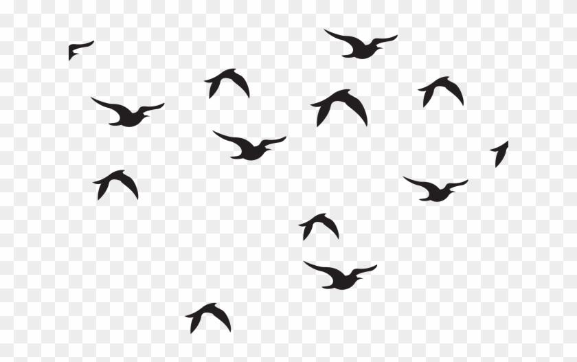 Wildlife Clipart Bird Flock - Birds Black And White Pencil #1432803