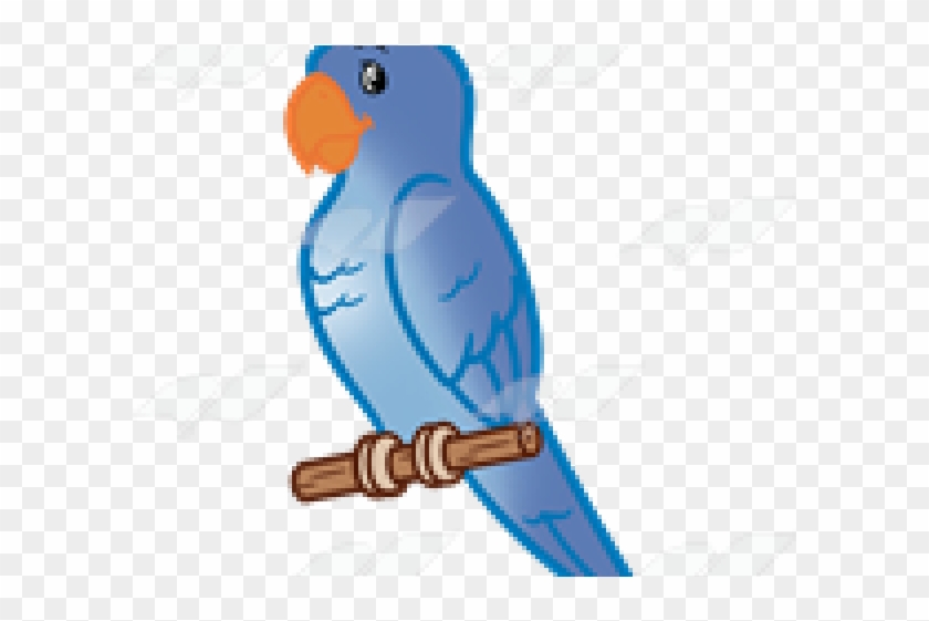 Parakeet Clipart Blue Parakeet - Parakeet #1432816