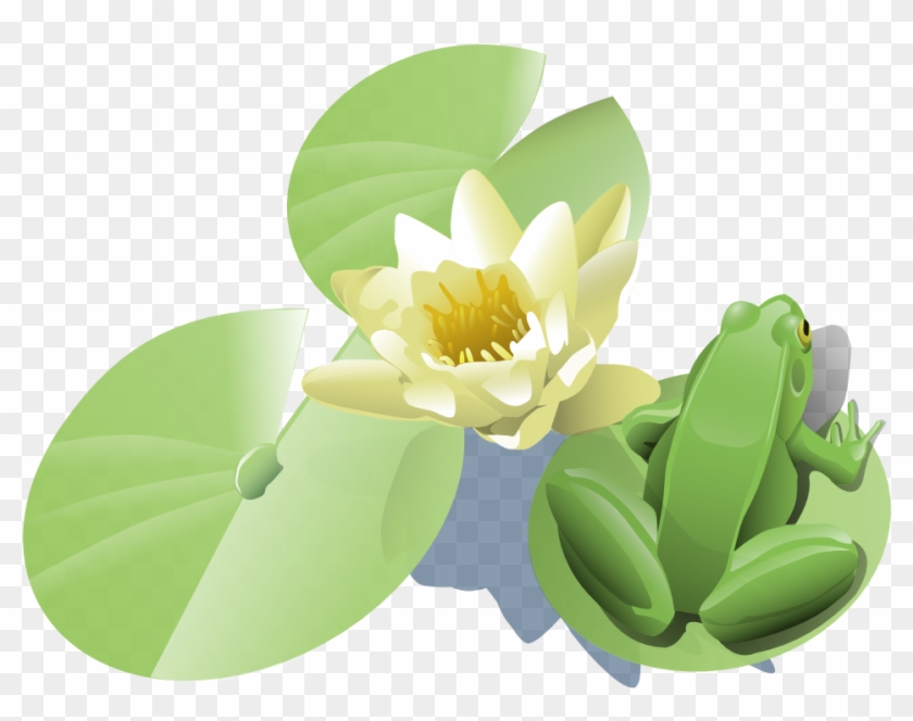 Frog On A Lily Pad Clip Art - Lily Pad Clip Art #222465