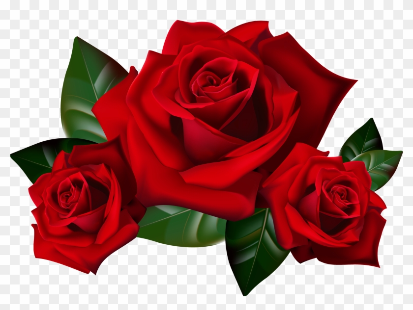 Download Original Resolution Free Red Rose Clipart - Rose Transparent #222616