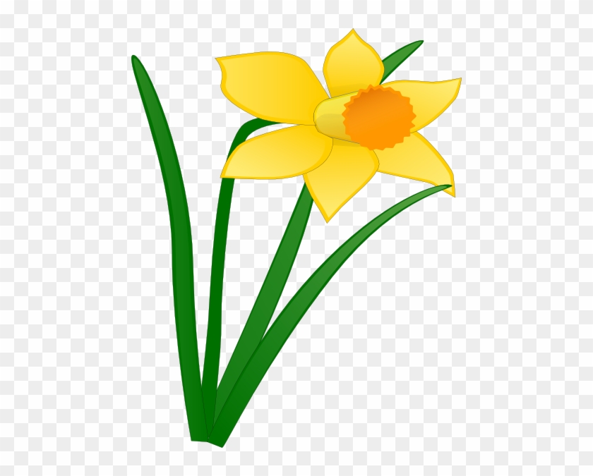 Scoil Bhríde Newsletter February - Daffodil Clip Art #222749
