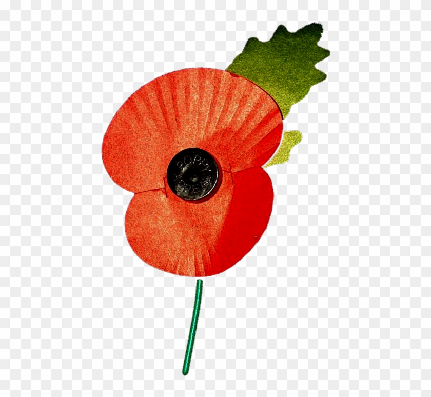 Remembrance Day Parade & Service - Royal British Legion Poppy #223390
