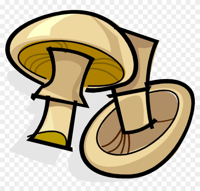 Mushrooms - Flash Card Mushroom #223576