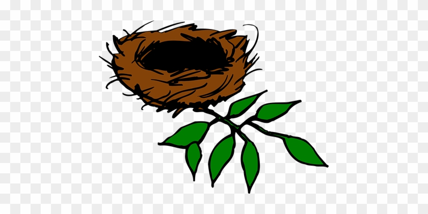 Bird Nest Nest Aerie Birds Leaves Branch L - Nest In Tree Clipart #223622