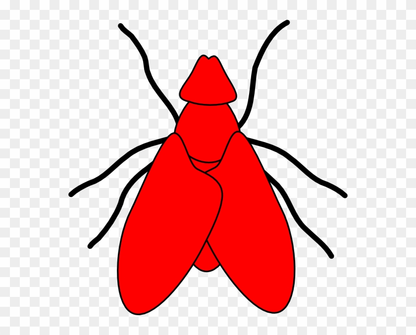 Fly Clip Art #223677